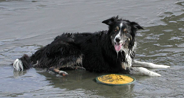 Megan at the beach